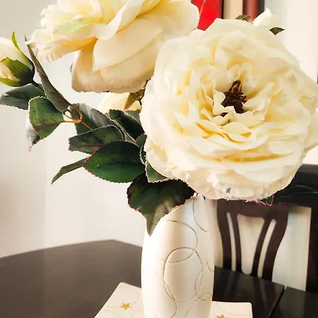 Apartment Sweet New Pazar *